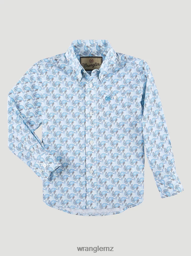 Blue Paisley (112324883)