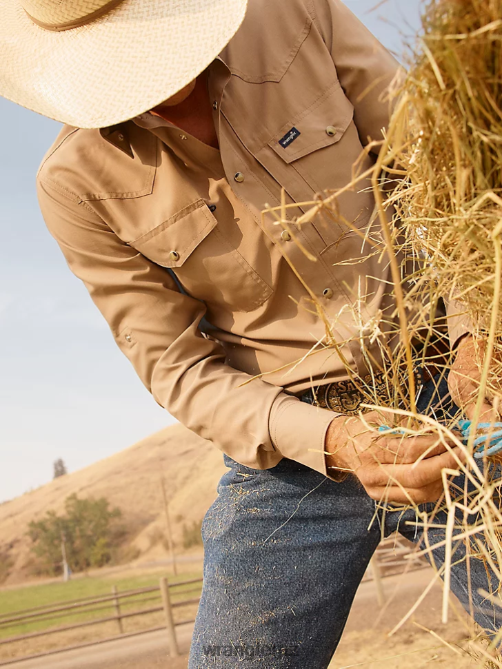 Overcast (112323768)